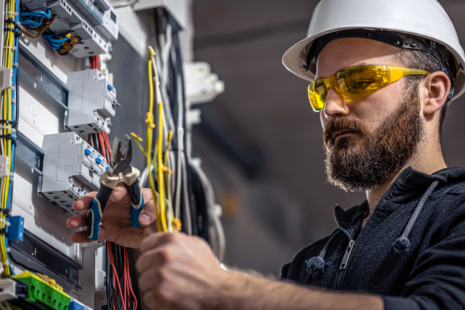 Elektriker - Award Siegel Zertifikat Champion Auszeichnung