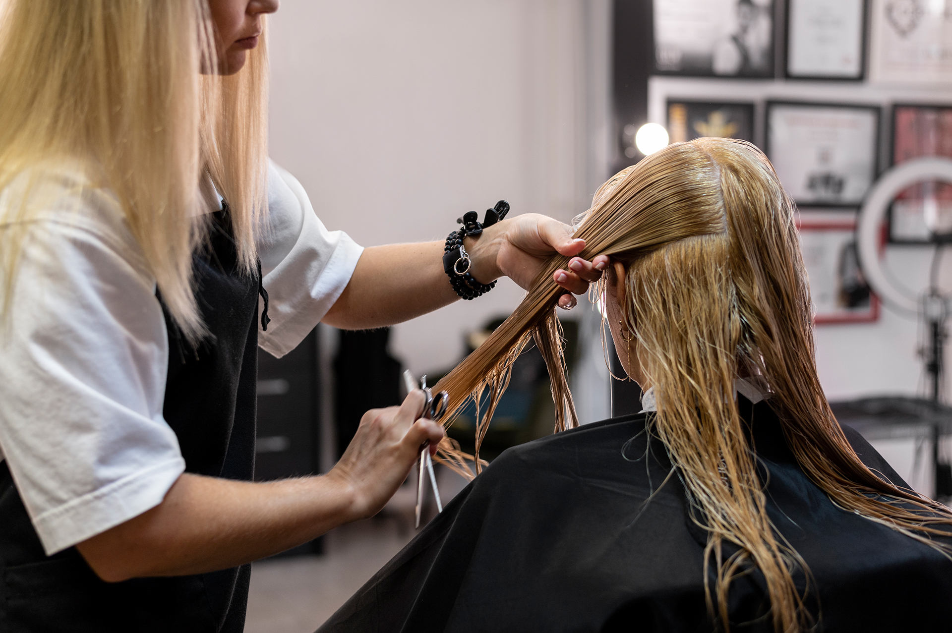 Friseur Award Siegel Zertifikat Champion Auszeichnung
